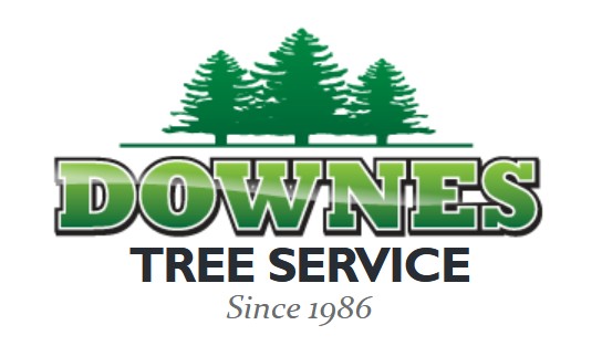 DownesTreeService